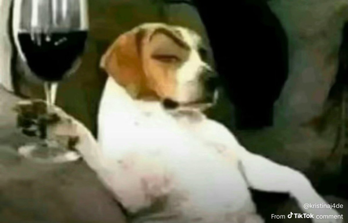 TBH | MAC tweet media