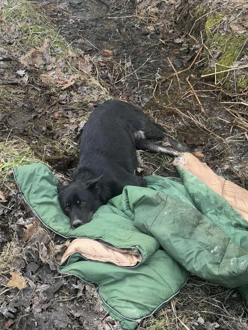 Jennifer Borrasso tweet media