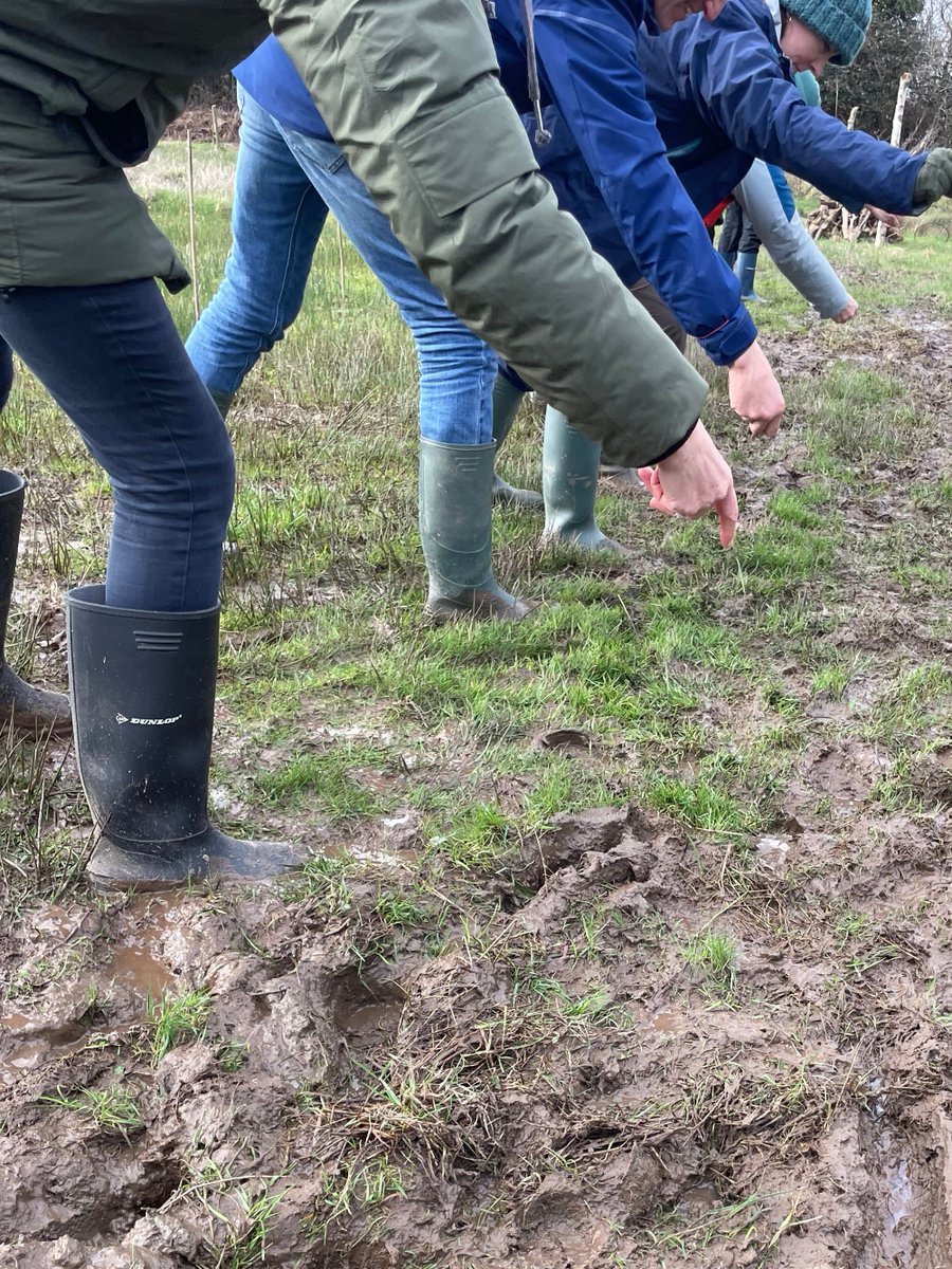 Oide Creativity tweet media