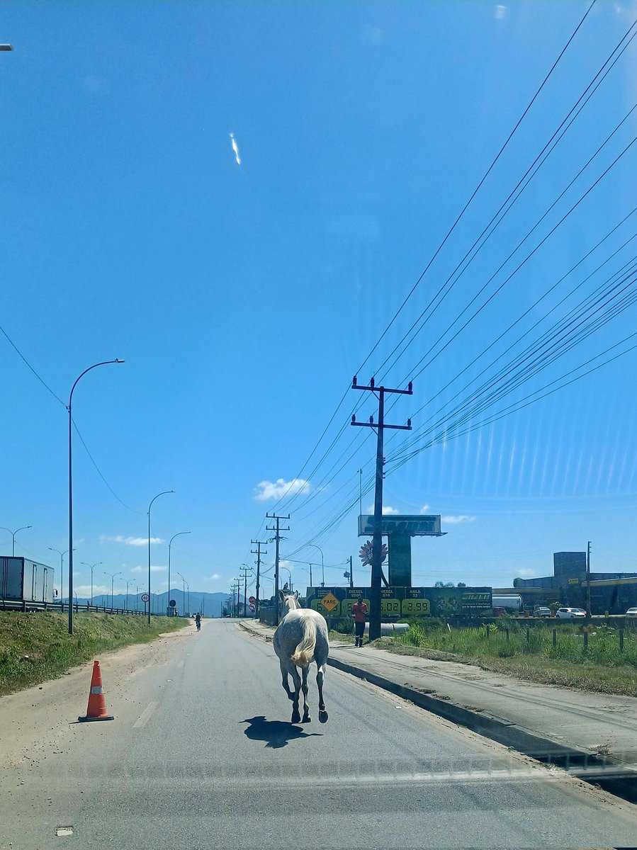 Essas merdas só acontecem quando eu estou com pressa...
