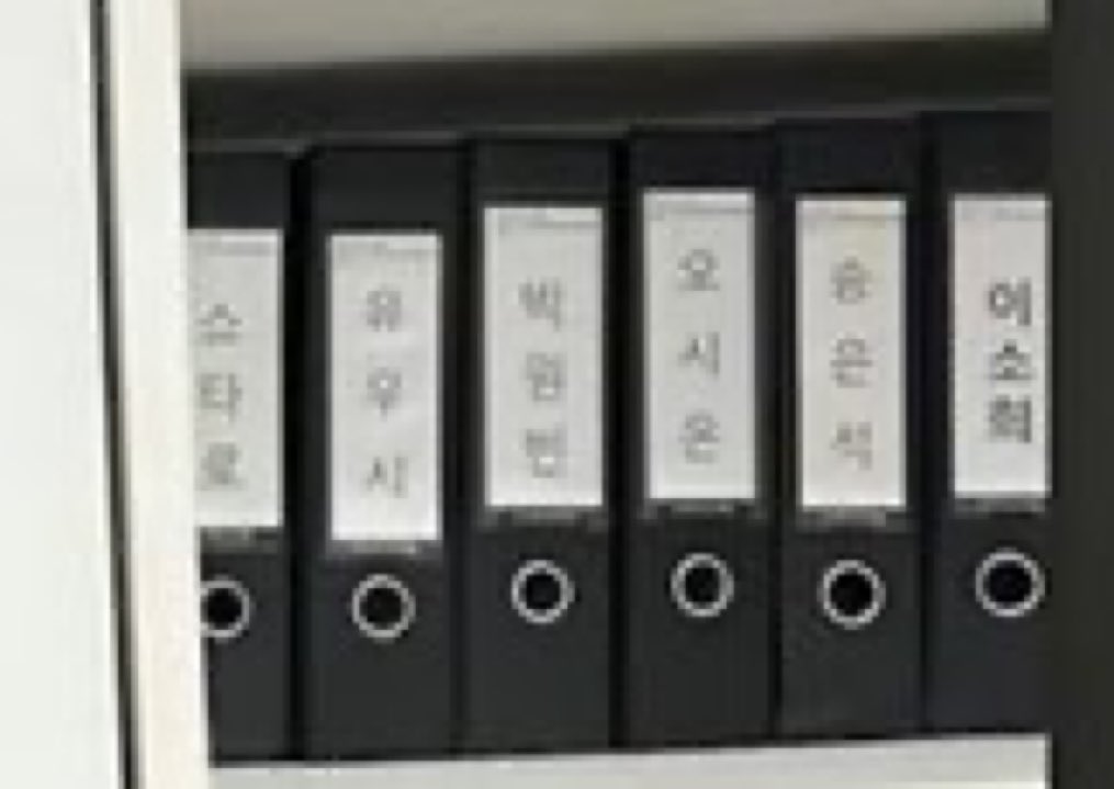 น้องวิชกับน้องข้าวมานโตมาด้วยกันจริง ๆ ชื่อบนแฟ้ม โชทาโร่ ยูชิ พัควอนบิน โอชิอน ซงอึนซอก อีโซฮี ตอนนี้ได้เดบิวท์กันหมดแล้ว ㅠㅠㅠ