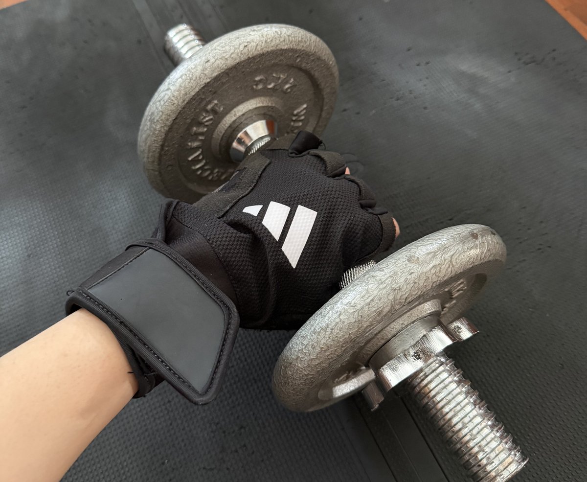 lalaland tweet media