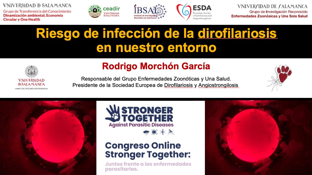 Rodrigo Morchón García tweet media