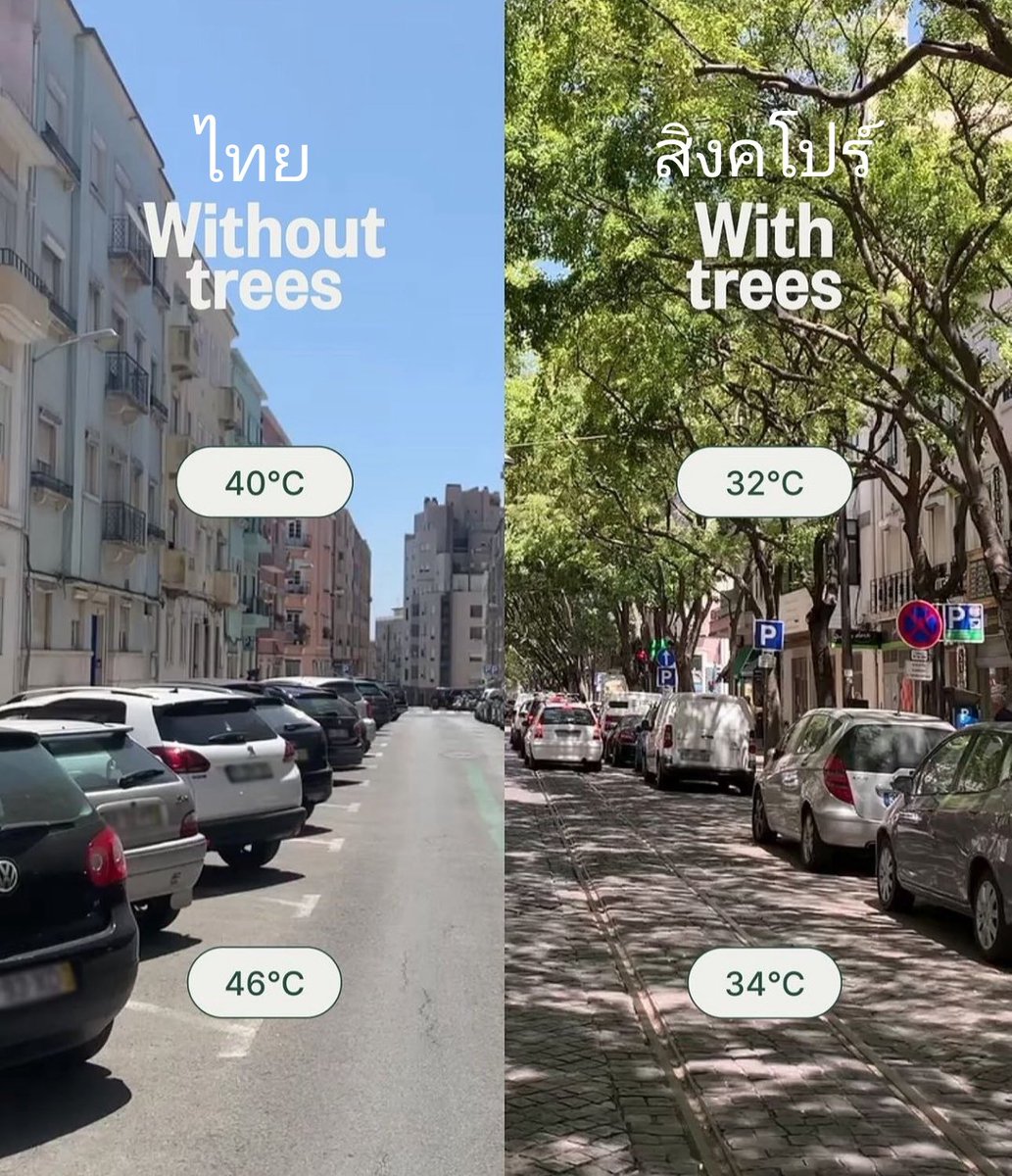 นึกถึงภาพประมาณนี้ 😂