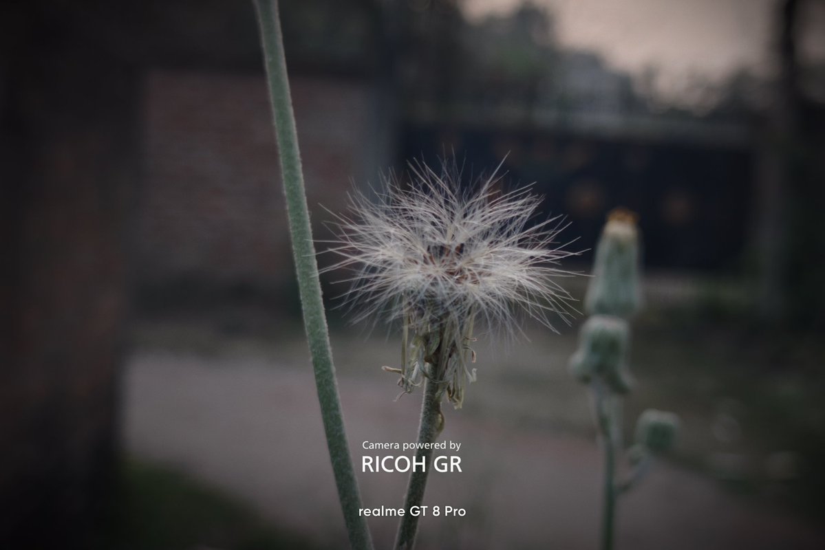 Anir Chakraborty tweet media