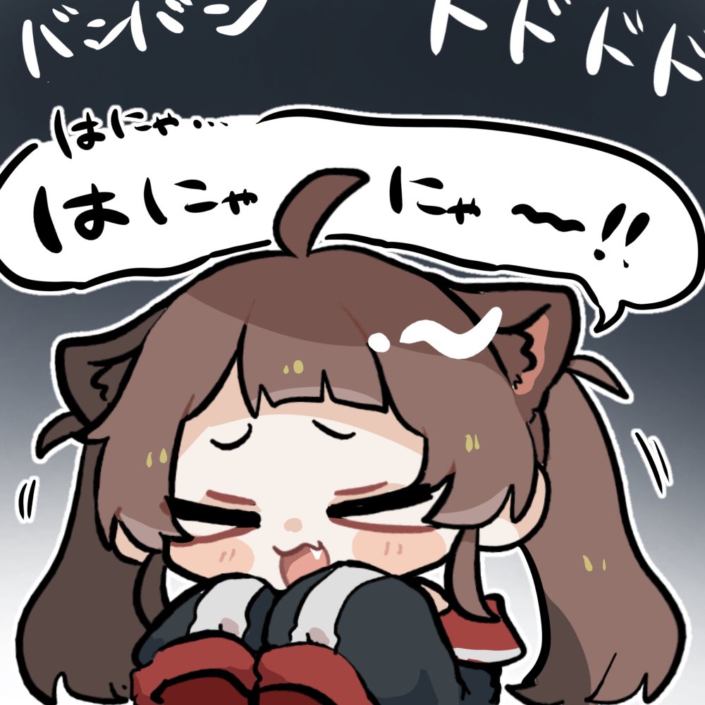 熊野ぽく🐻 tweet media