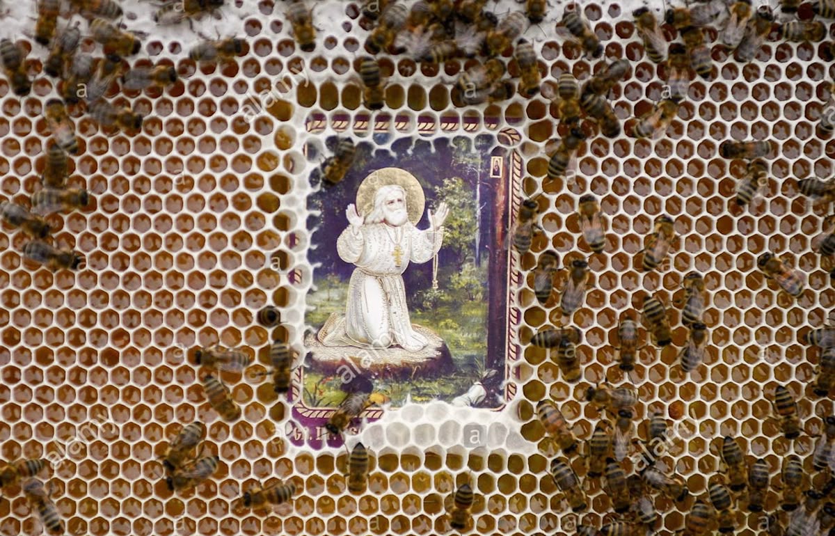 divine order respecters