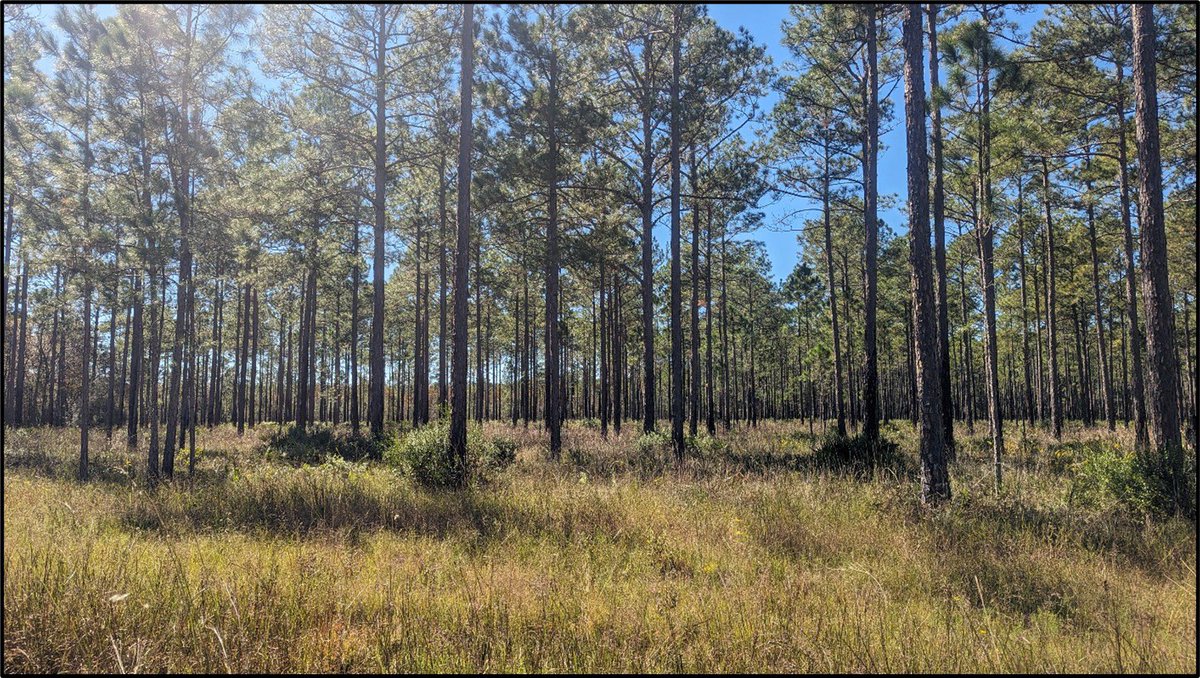 Florida Dept. of Agriculture & Consumer Services tweet media