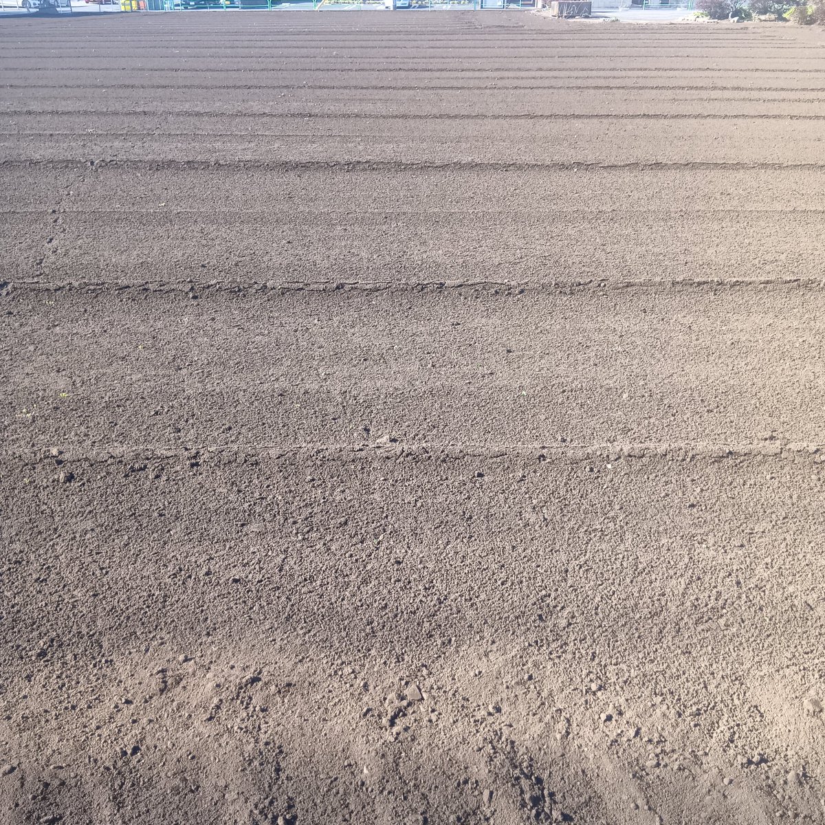 【明日】
3/5(木)高円寺 稲生座
OPEN 19:00　START 19:30
¥1650+Drink
出演者：西松亜香音/東ヒデ

明日は高円寺稲生座でライブです！
初めましての東さんと。
ぜひ！

#弾き語り
#高円寺
#稲生座