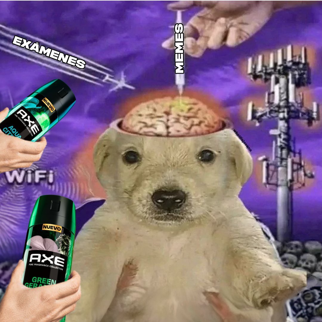 AXE en Español tweet media