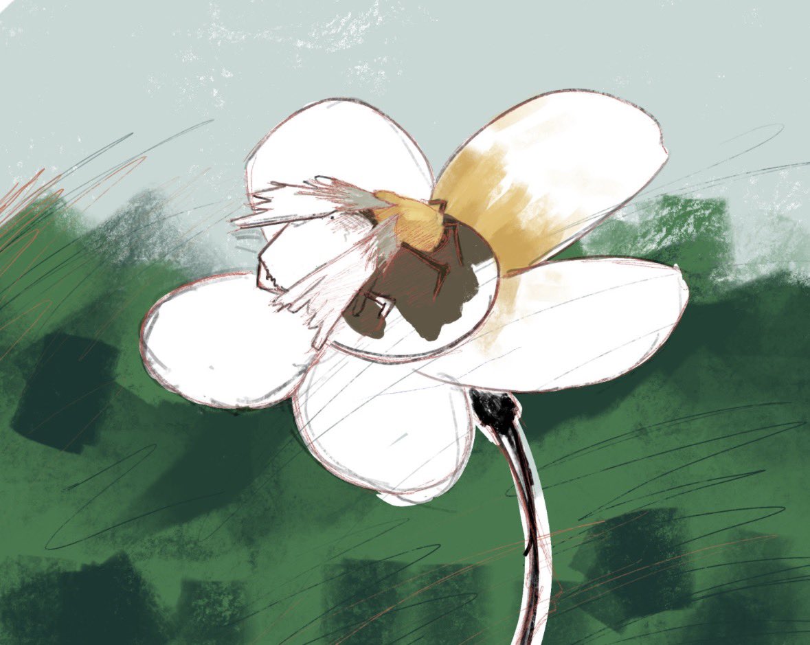 Here is a  wonderful example of some of our yYear 10 digital art work. Congratulations! Fantastic work! Keep up the amazing style that you’ve developed ❤️