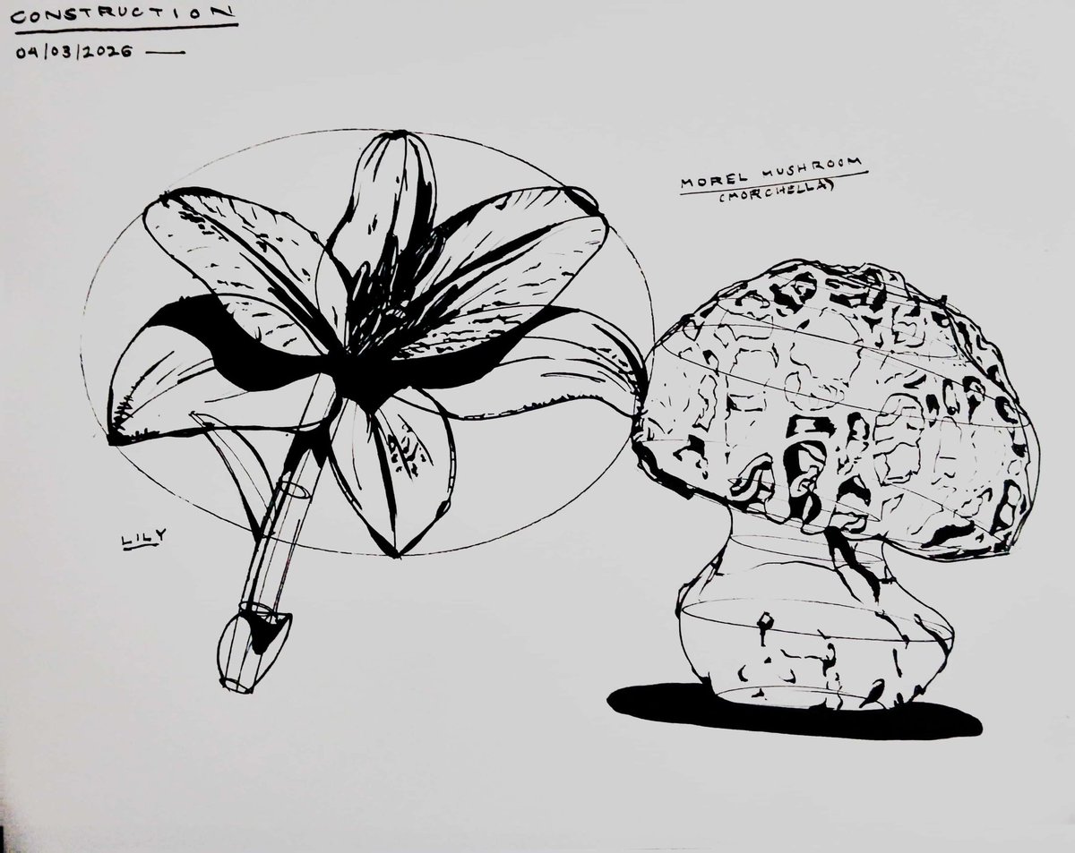 TriflingStrife tweet media