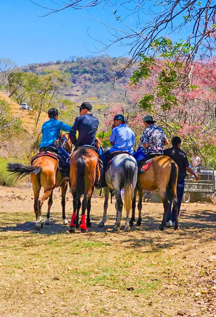 PARTIDO GANA tweet media