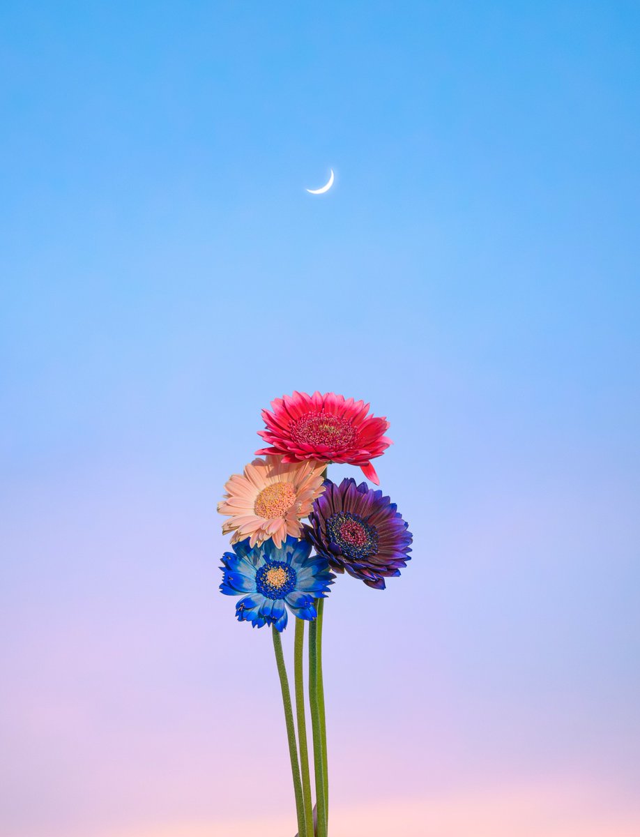 Purely Green tweet media