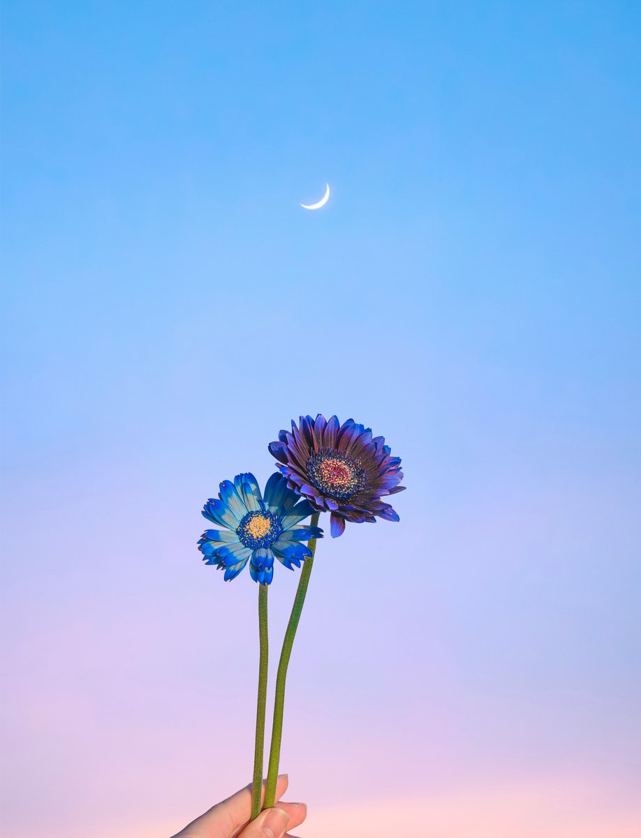 Purely Green tweet media