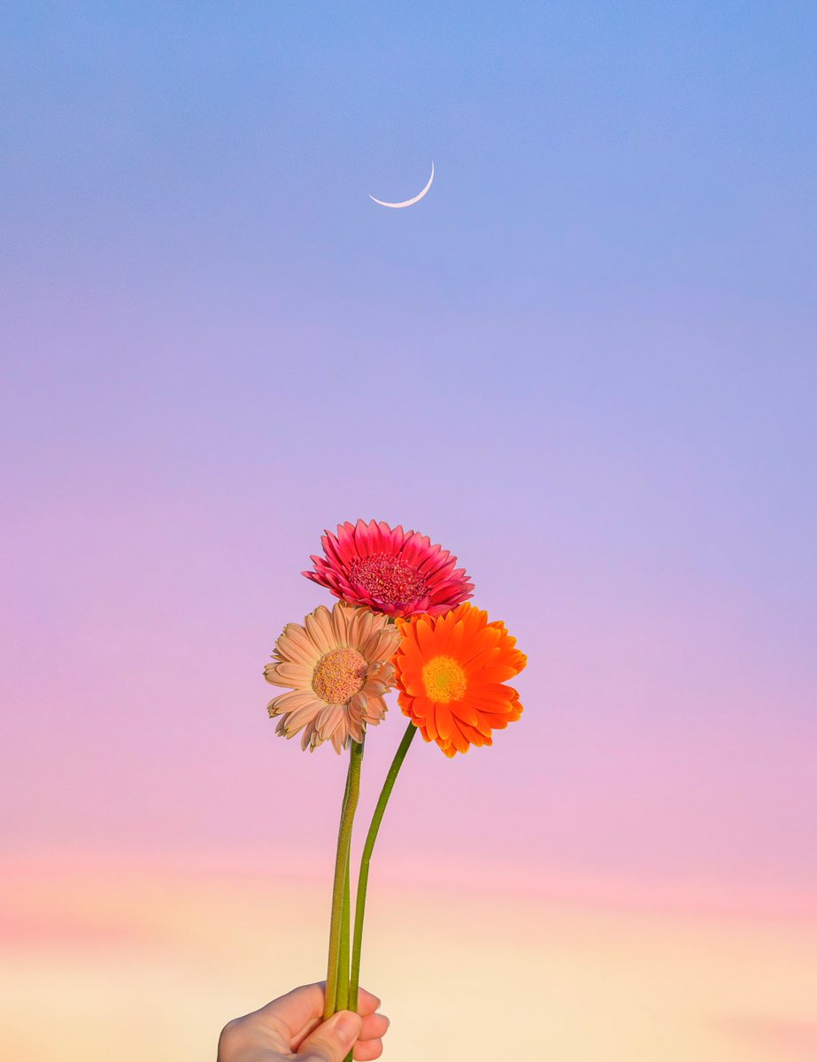 Purely Green tweet media