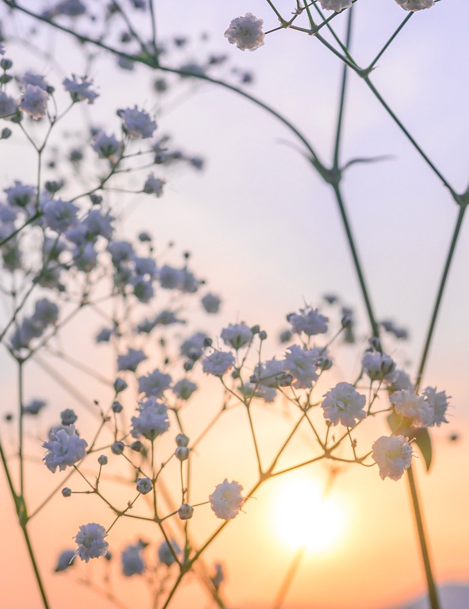 Purely Green tweet media