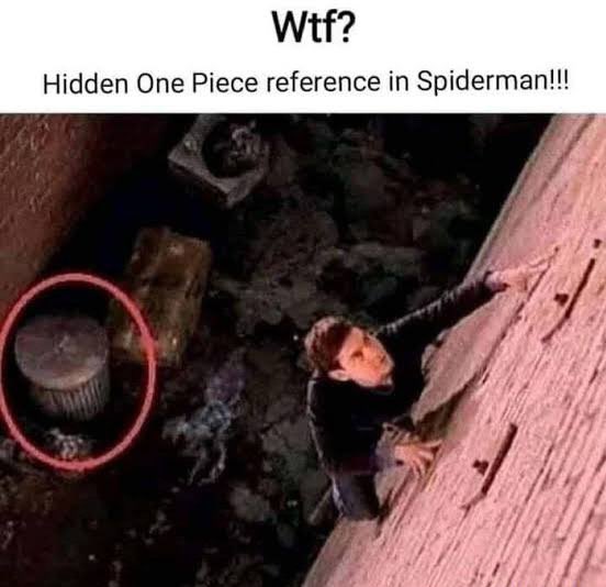 ALEX FIBONACCI tweet media