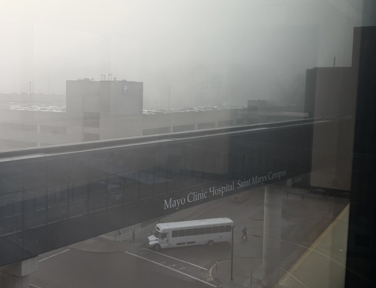 Ashley Egan, MD tweet media