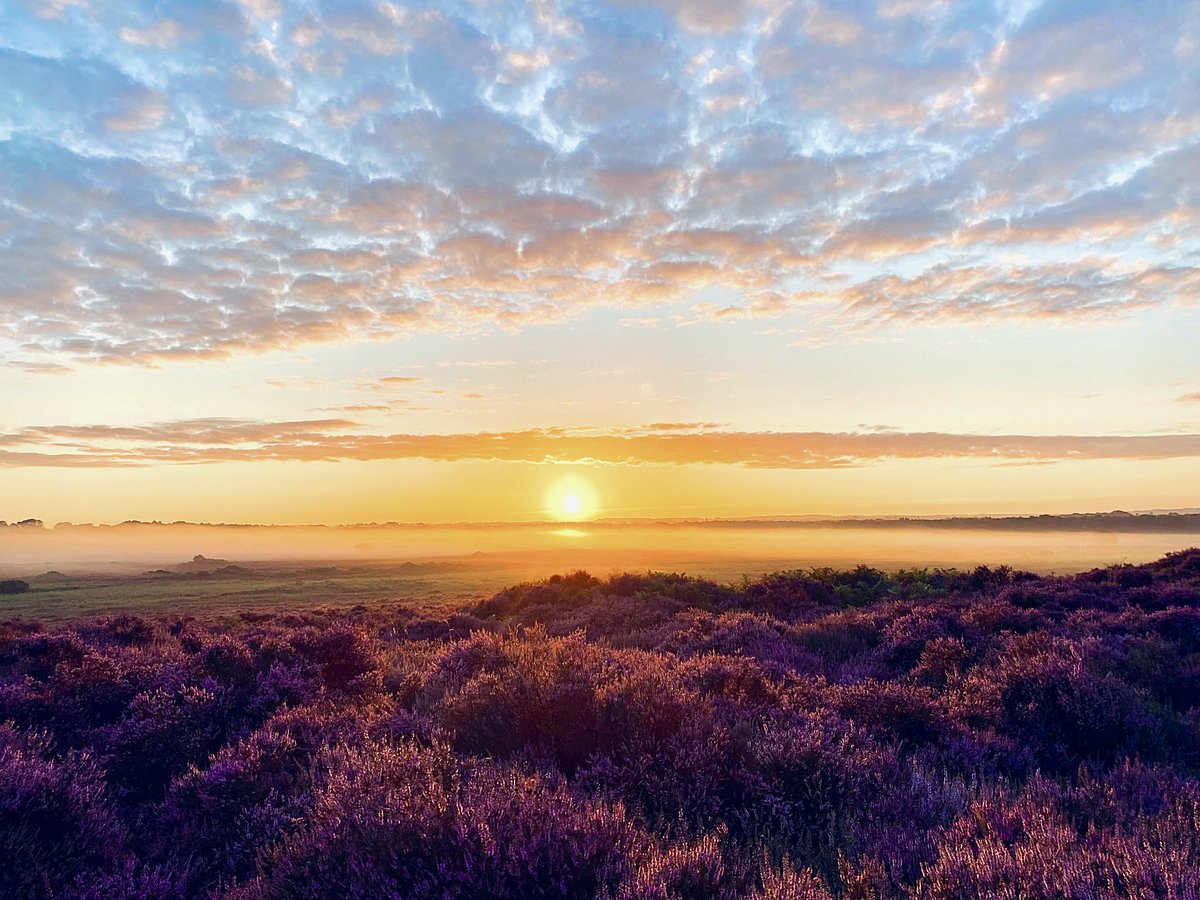 Visit Norfolk tweet media