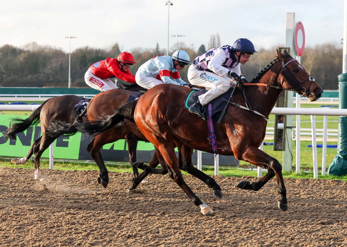 Weekender tweet media