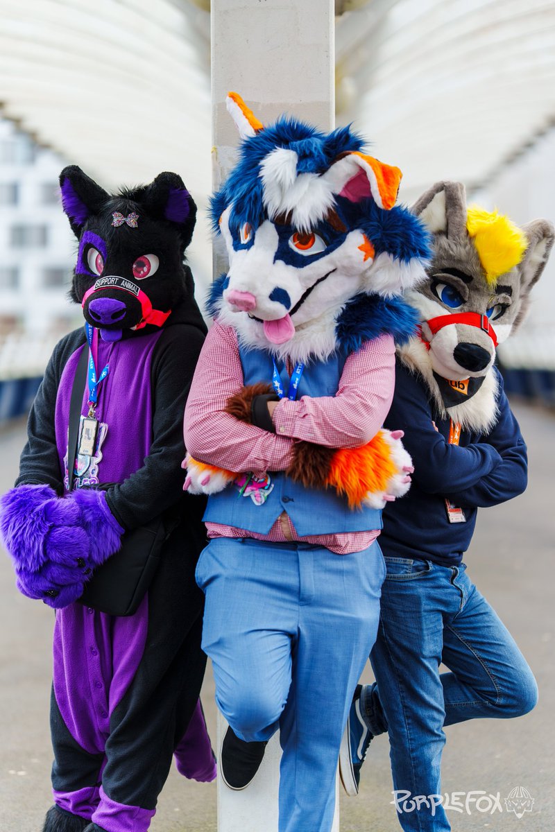 Lee Folf tweet media