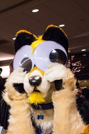 🐾Azflip 🐺 tweet media