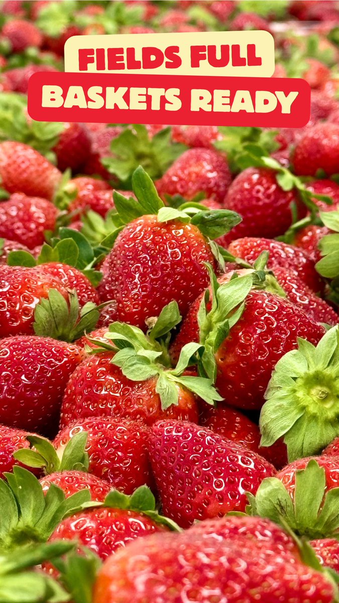 The Berry Farms tweet media