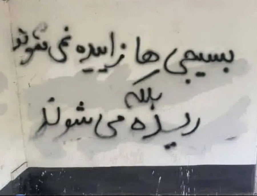 بچهِ‌ی مردم🤍🕊❤️ tweet media