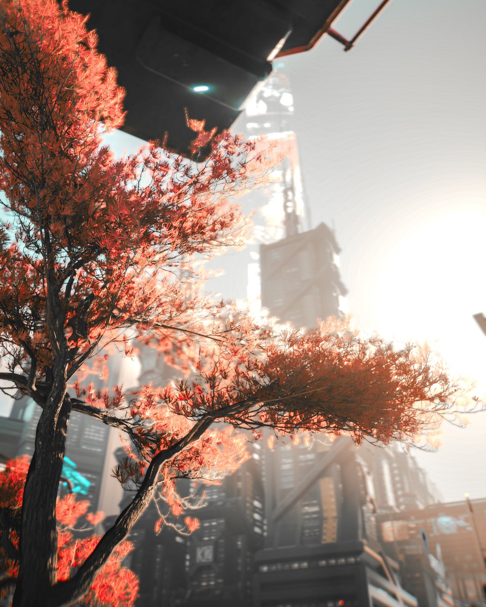 AfterFrame || VP tweet media