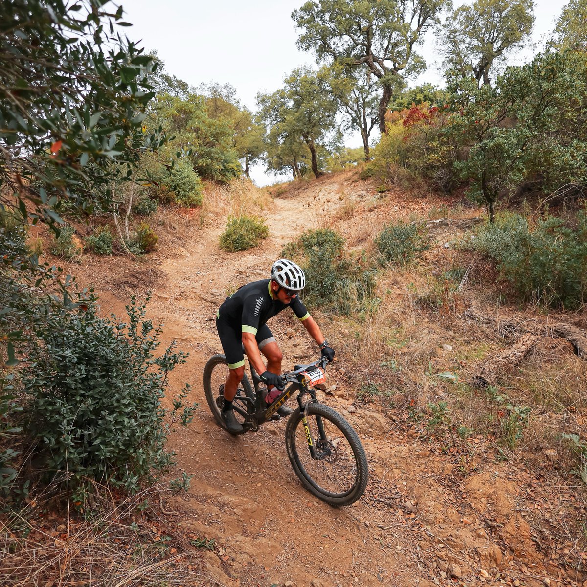 Roc d'Azur CIC tweet media