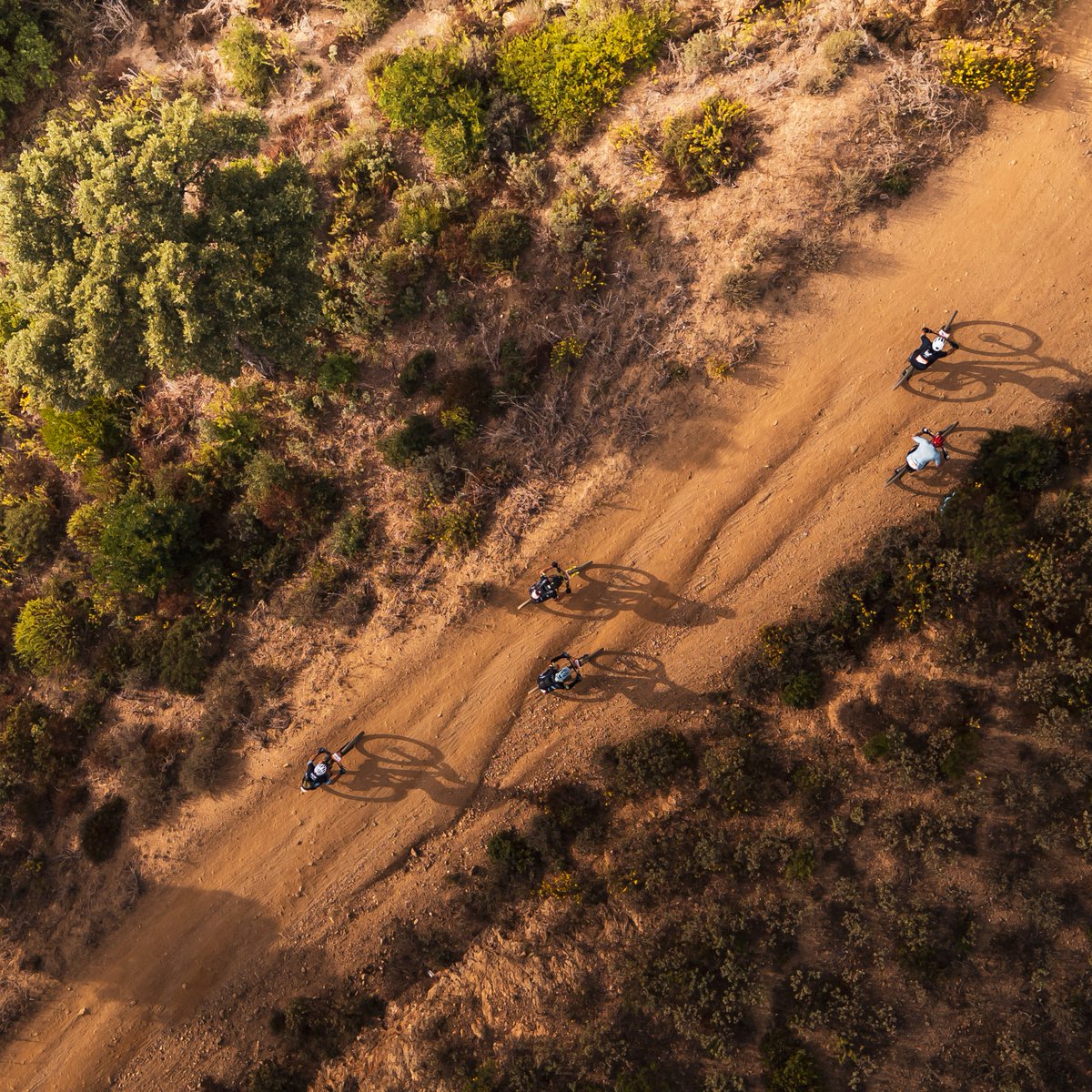 Roc d'Azur CIC tweet media