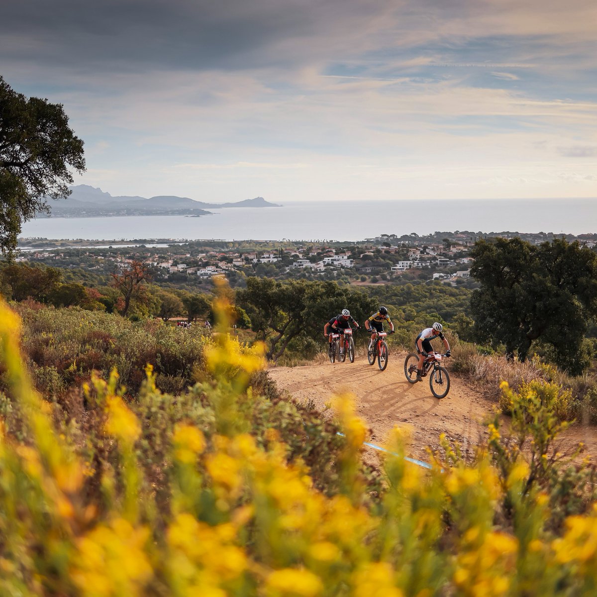 Roc d'Azur CIC tweet media