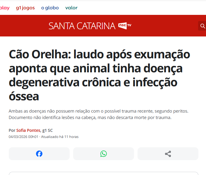 Gabriel Charro tweet media