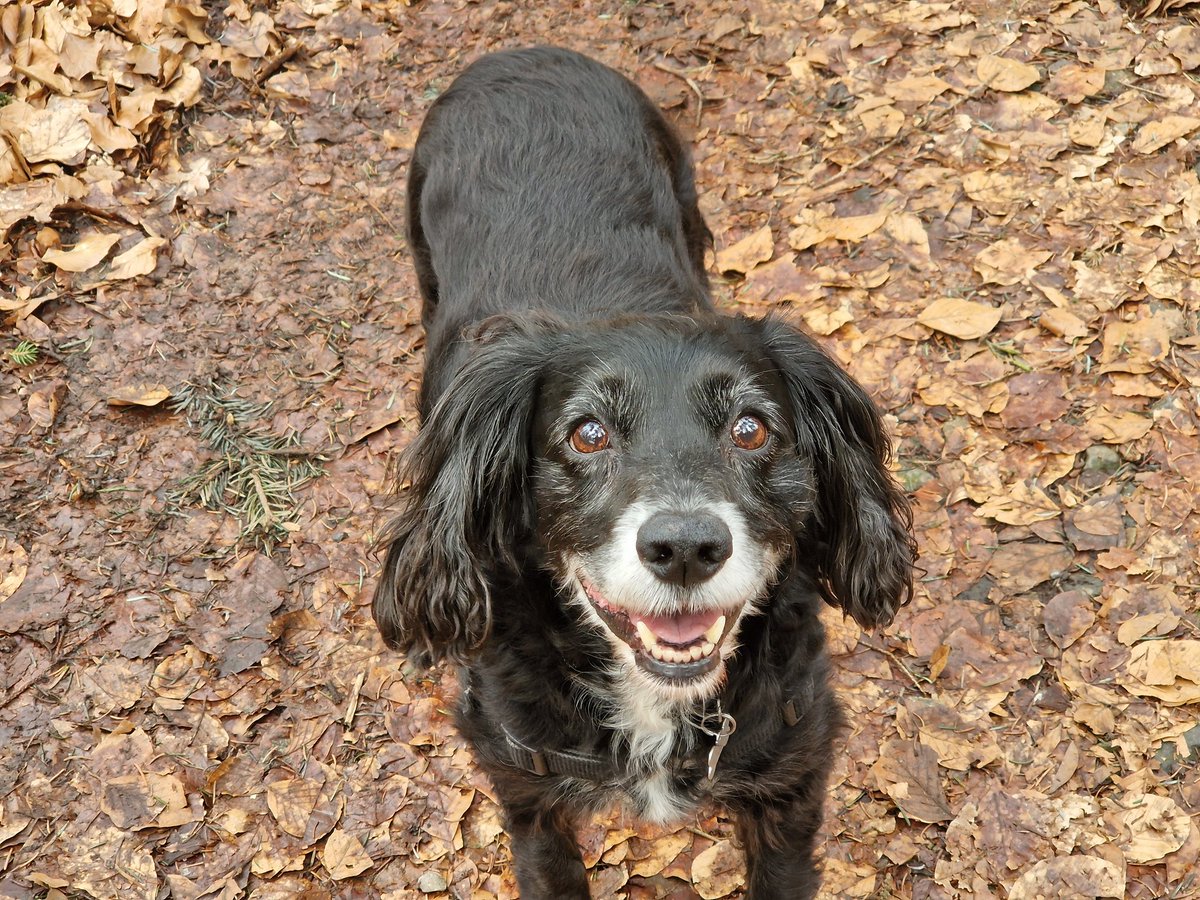 Irma van Hoeven tweet media