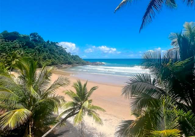 Caminhos do Nordeste 🌵✨ tweet media