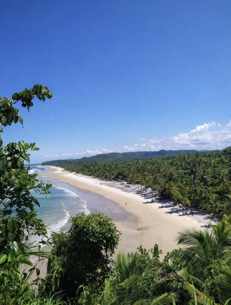 Caminhos do Nordeste 🌵✨ tweet media