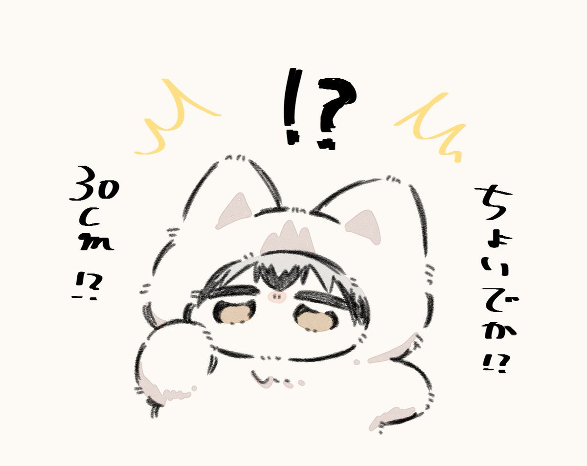 ふめい tweet media