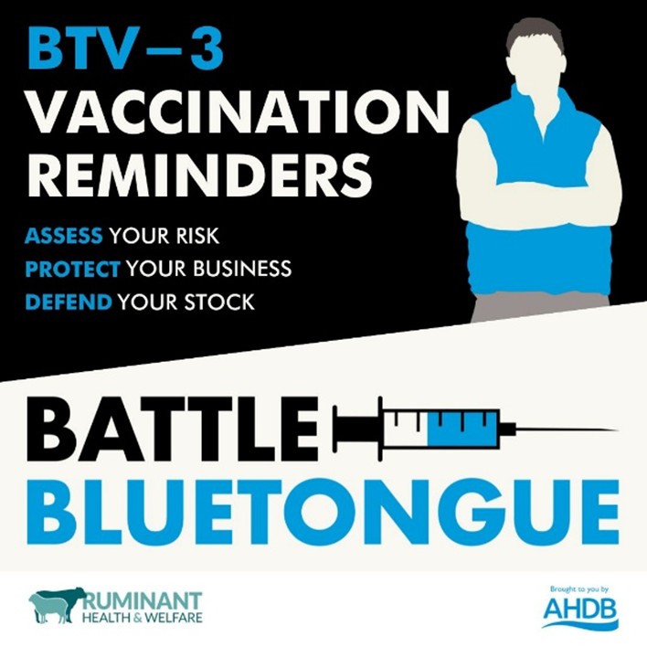 Ruminant Health & Welfare tweet media