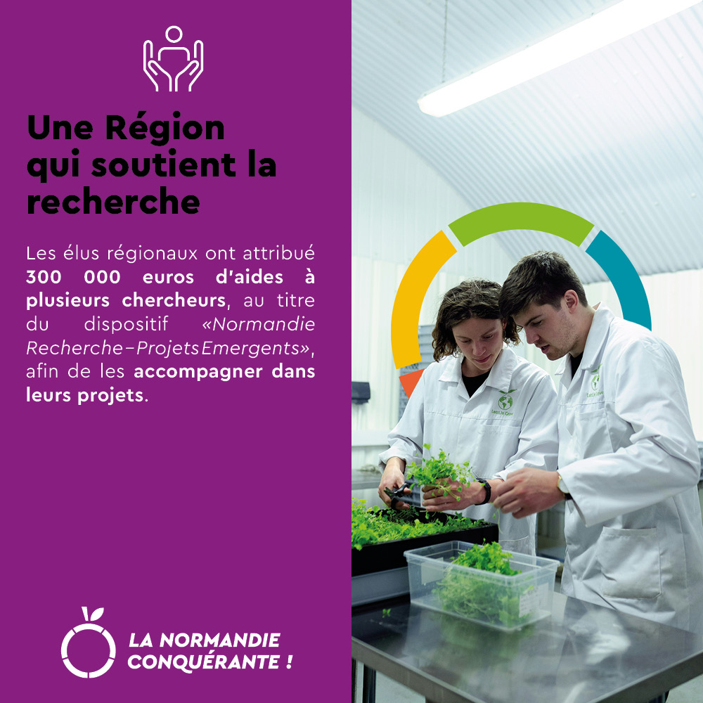 La Normandie Conquérante tweet media