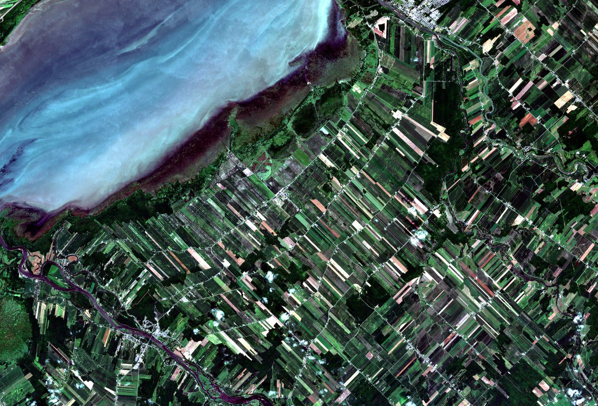 Canadian Space Agency tweet media