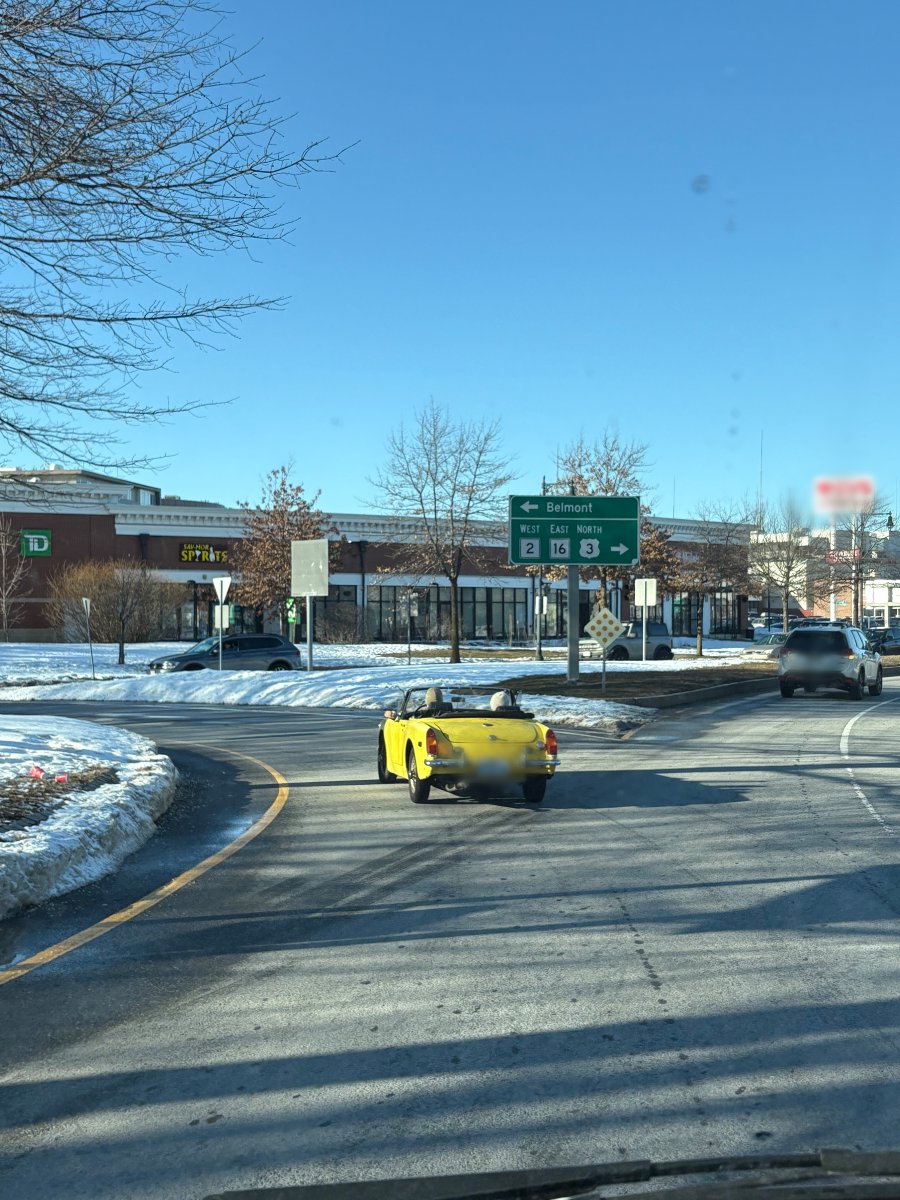 People start acting up when it hits 40° here...