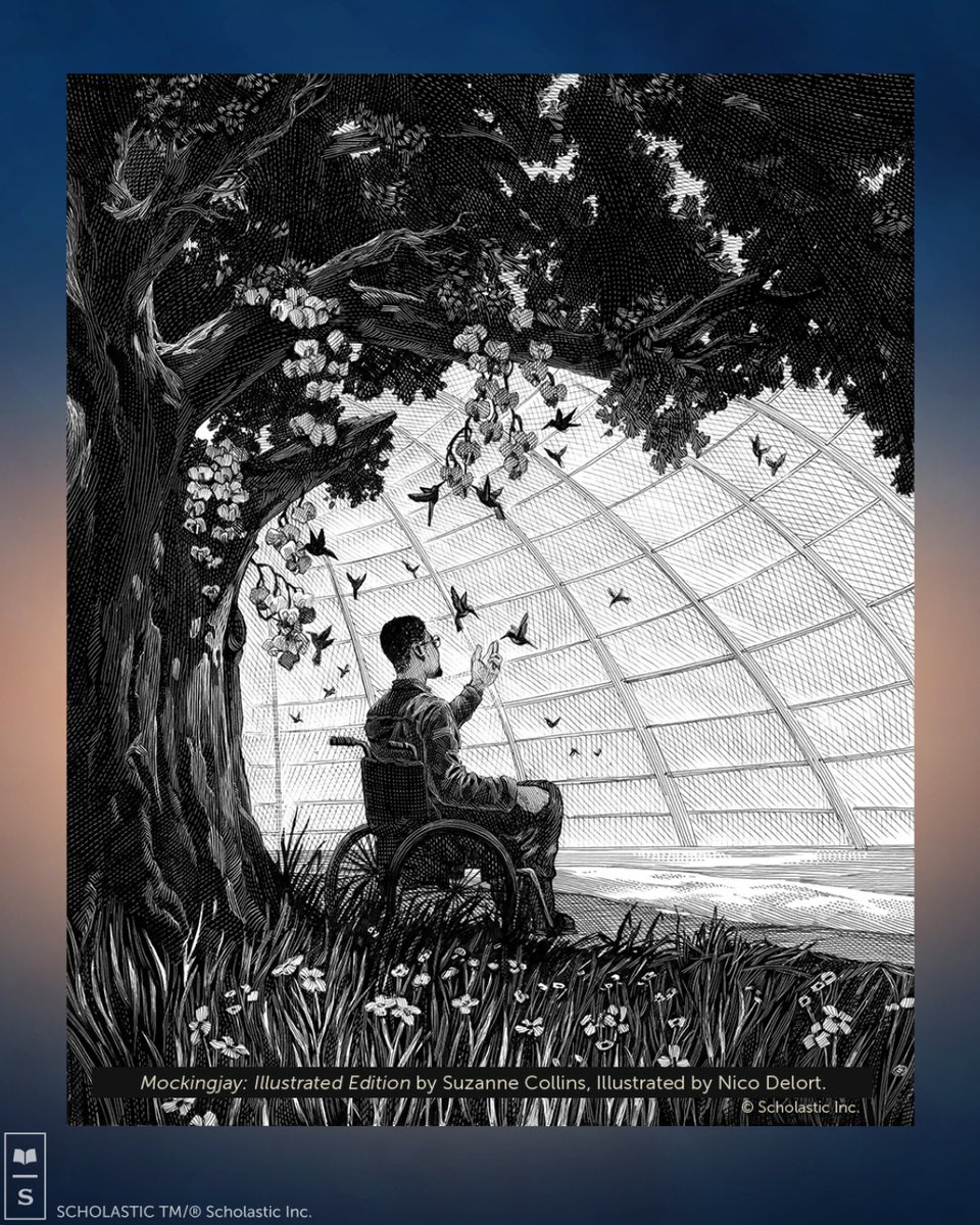 The Hunger Games Books tweet media