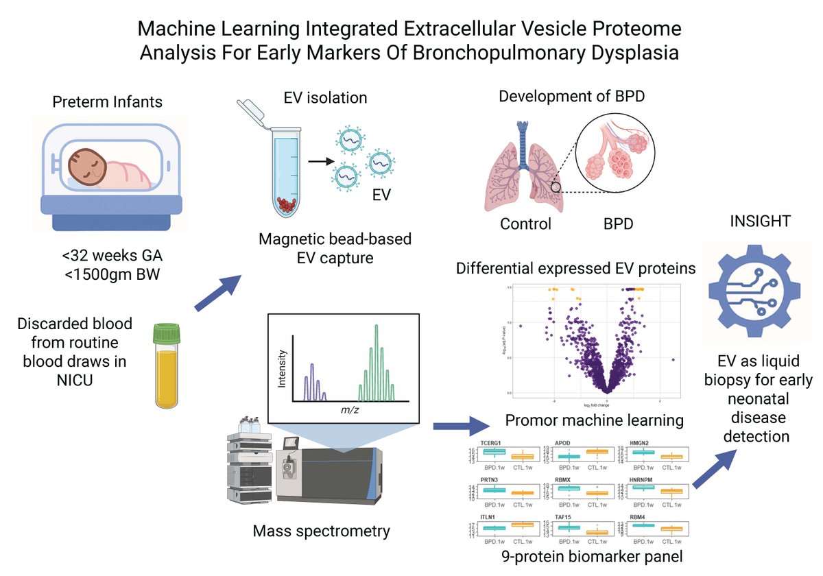 Function tweet media