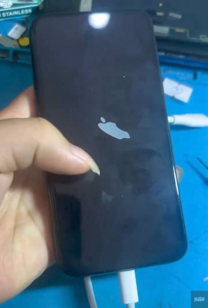 Certified Yapper tweet media