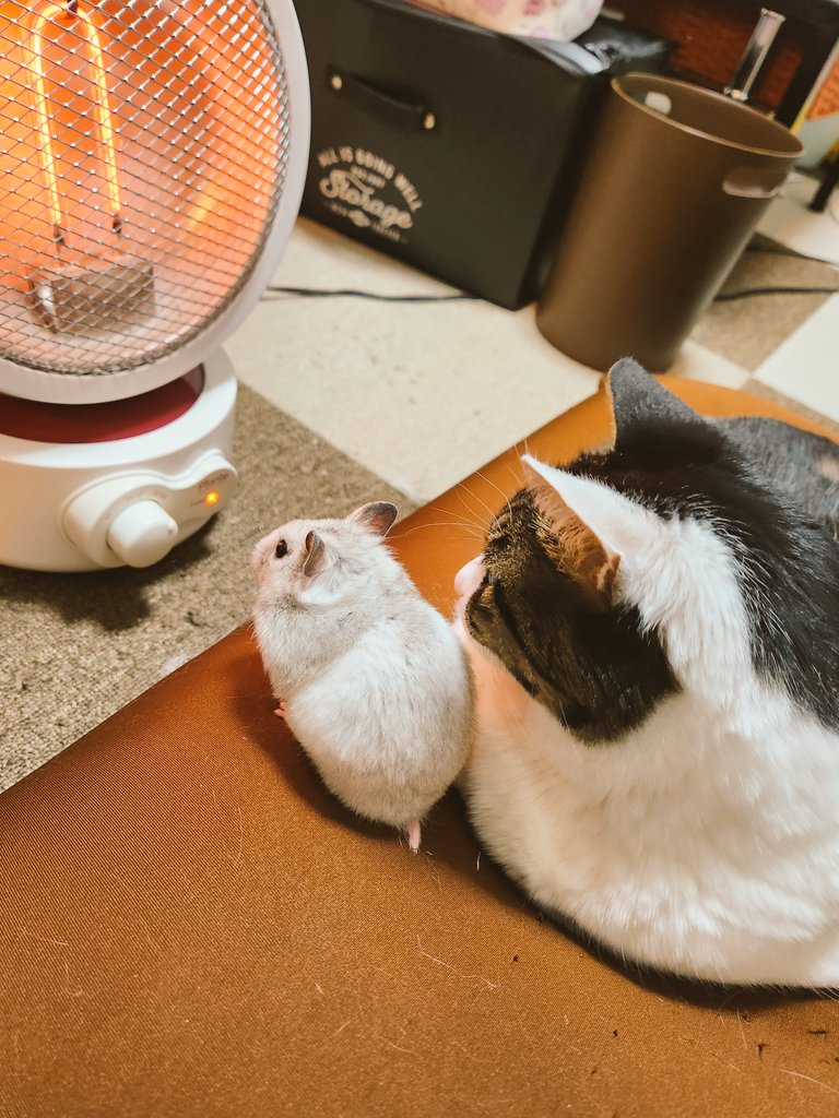 #自分が気に入ってる写真を1枚選んで無言で貼る