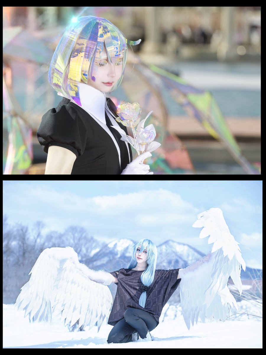 ポケット tweet media