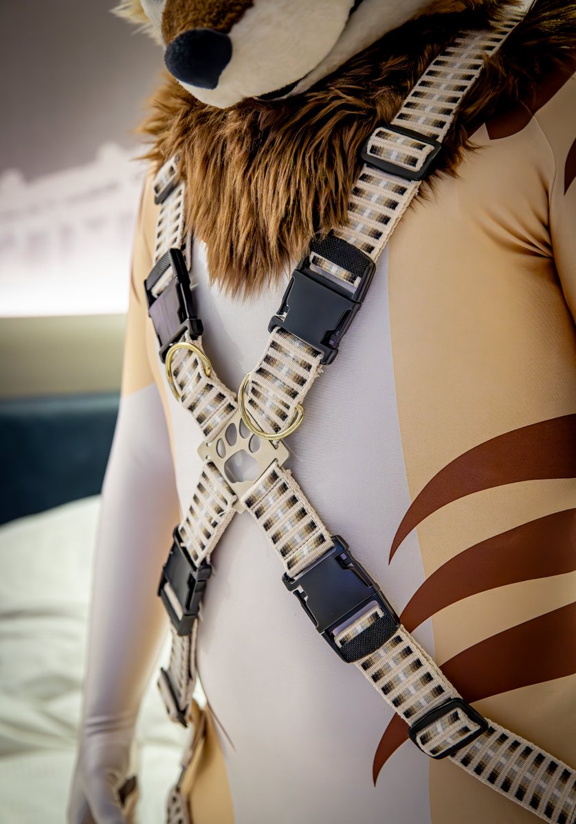 煌(Kou) tweet media