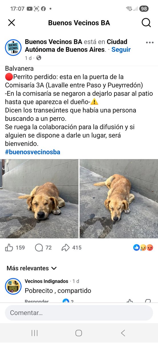 Ayudemos con este perrito perdido
