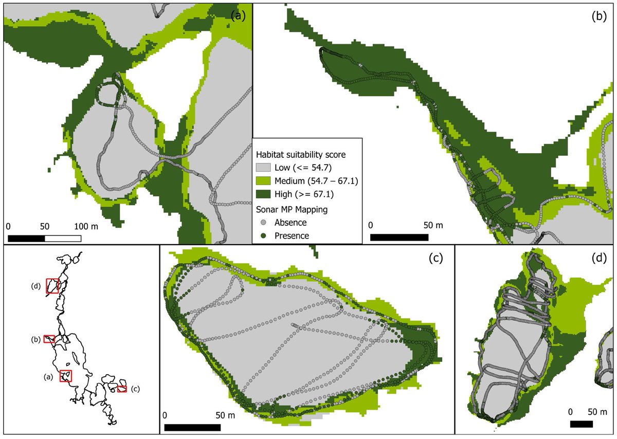 RemoteSens_MDPI's tweet image. 💧🌿 Modeling Potential #Habitats of #Macrophytes in Small #Lakes: A #GIS and Remote Sensing-Based Approach

✍️ Bastian Robran et al.
🔗 brnw.ch/21x0rPG